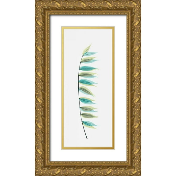Koetsier, Albert 12x24 Gold Ornate Wood Framed with Double Matting Museum Art Print Titled - Chinese Pistachio