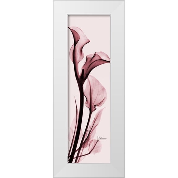 Koetsier, Albert 12x32 White Modern Wood Framed Museum Art Print Titled - Calla Lily on Pink