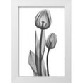 thumbnail image 1 of Koetsier, Albert 13x18 White Modern Wood Framed Museum Art Print Titled - Coupled Friends, 1 of 4