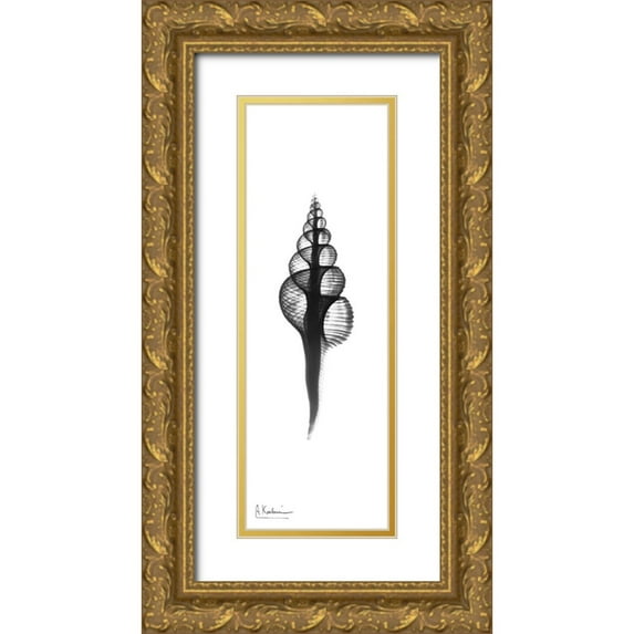 Koetsier, Albert 13x32 Gold Ornate Wood Framed with Double Matting Museum Art Print Titled - Fusinus Colus