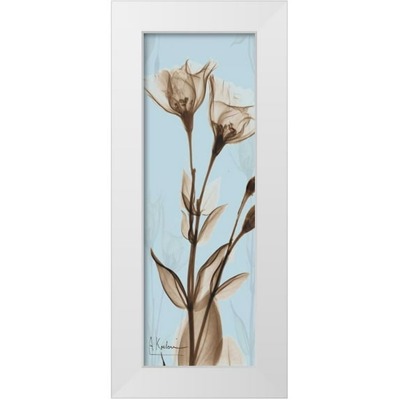 Koetsier, Albert 13x32 White Modern Wood Framed Museum Art Print Titled - Flower 1