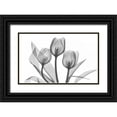 thumbnail image 1 of Koetsier, Albert 14x10 Black Ornate Wood Framed with Double Matting Museum Art Print Titled - Tulips Three in BandW, 1 of 4
