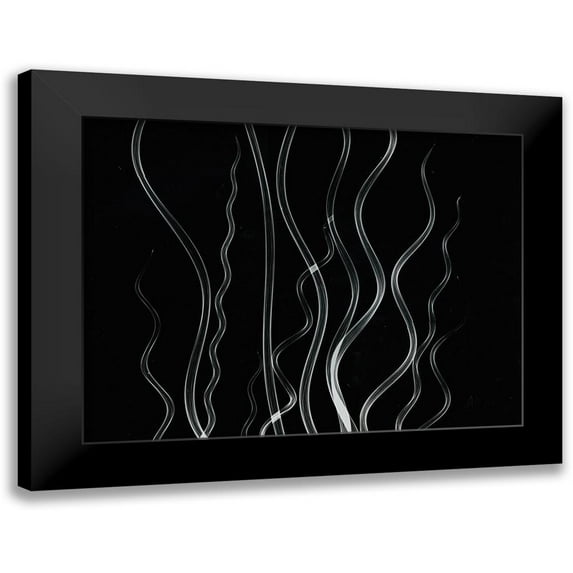 Koetsier, Albert 14x12 Black Modern Framed Museum Art Print Titled - Corkscrew Rush