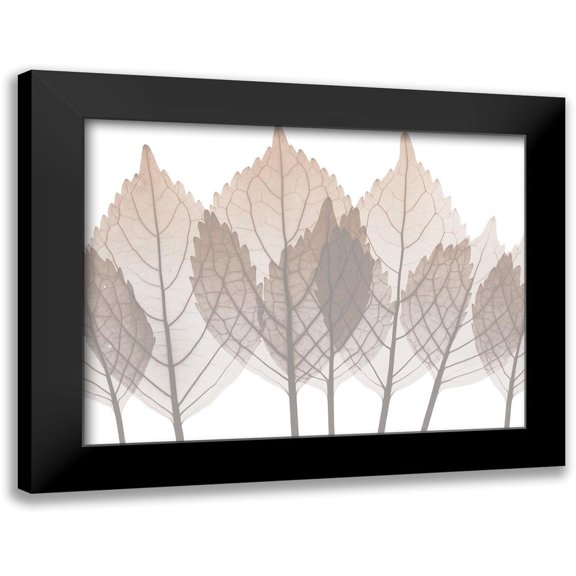 Koetsier, Albert 14x12 Black Modern Framed Museum Art Print Titled - Desert Passion 2