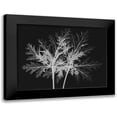 thumbnail image 1 of Koetsier, Albert 14x12 Black Modern Framed Museum Art Print Titled - Leaves Seq, 1 of 5