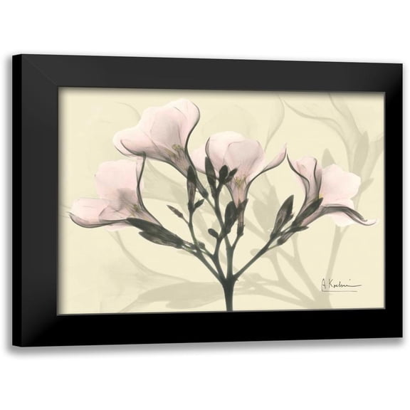 Koetsier, Albert 14x12 Black Modern Framed Museum Art Print Titled - Oleander in Pink on Beige