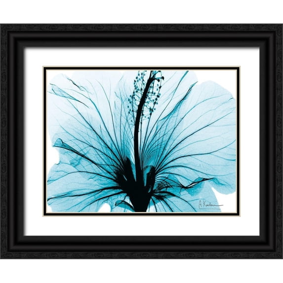 Koetsier, Albert 14x12 Black Ornate Wood Framed with Double Matting Museum Art Print Titled - Aqua Hibiscus