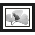 thumbnail image 1 of Koetsier, Albert 14x12 Black Ornate Wood Framed with Double Matting Museum Art Print Titled - Inverted Ginko 3, 1 of 4