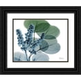 thumbnail image 1 of Koetsier, Albert 14x12 Black Ornate Wood Framed with Double Matting Museum Art Print Titled - Lilly of Eucalyptus, 1 of 4