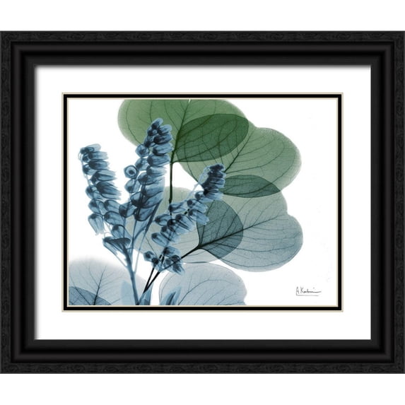 Koetsier, Albert 14x12 Black Ornate Wood Framed with Double Matting Museum Art Print Titled - Lilly of Eucalyptus
