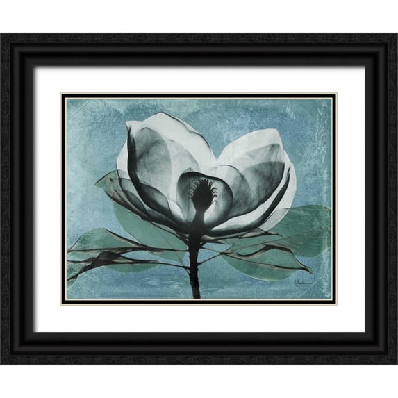Koetsier, Albert 14x12 Black Ornate Wood Framed with Double Matting Museum Art Print Titled - Magnolia Blues 1