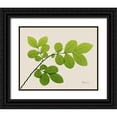 thumbnail image 1 of Koetsier, Albert 14x12 Black Ornate Wood Framed with Double Matting Museum Art Print Titled - Natural Greenery 1, 1 of 4