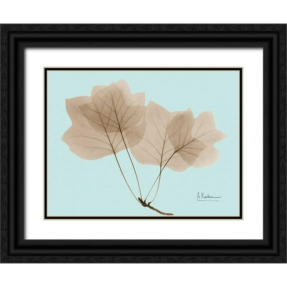 Koetsier, Albert 14x12 Black Ornate Wood Framed with Double Matting Museum Art Print Titled - Tulip Tree in Brown on Blue