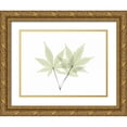 thumbnail image 1 of Koetsier, Albert 14x12 Gold Ornate Wood Framed with Double Matting Museum Art Print Titled - Japanese Maple, 1 of 4
