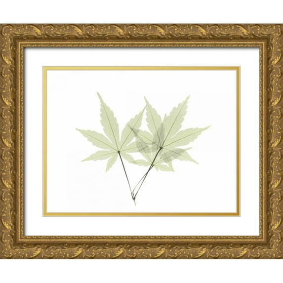 Koetsier, Albert 14x12 Gold Ornate Wood Framed with Double Matting Museum Art Print Titled - Japanese Maple