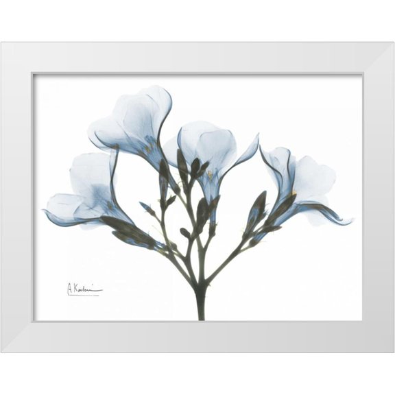 Koetsier, Albert 14x12 White Modern Wood Framed Museum Art Print Titled - Oleander in Blue