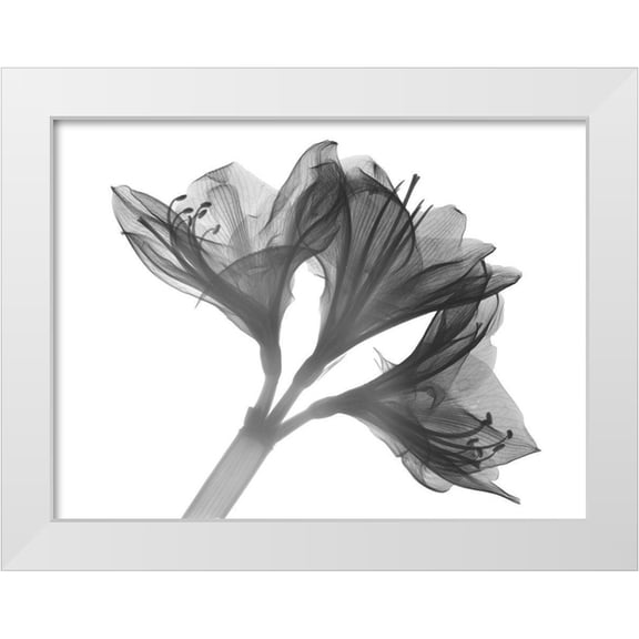 Koetsier, Albert 14x12 White Modern Wood Framed Museum Art Print Titled - Twins