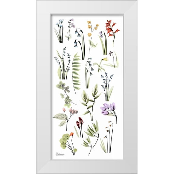 Koetsier, Albert 14x24 White Modern Wood Framed Museum Art Print Titled - Zen Garden 2