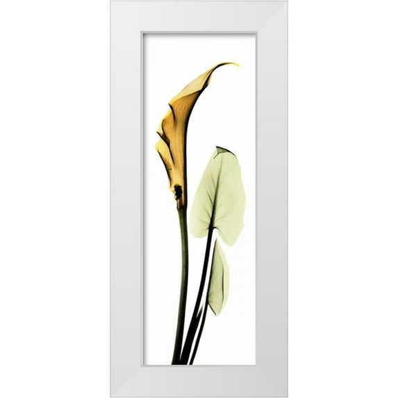 Koetsier, Albert 14x32 White Modern Wood Framed Museum Art Print Titled - Calla Lily in Gold 2