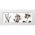 thumbnail image 1 of Koetsier, Albert 14x7 White Modern Wood Framed Museum Art Print Titled - Sepia Floral Tryp Tych II, 1 of 4