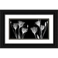 thumbnail image 1 of Koetsier, Albert 14x9 Black Ornate Wood Framed with Double Matting Museum Art Print Titled - BW Gentian, 1 of 4