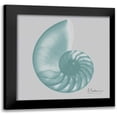 thumbnail image 1 of Koetsier, Albert 15x15 Black Modern Framed Museum Art Print Titled - Aquifer Sea Shell, 1 of 5