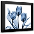 thumbnail image 1 of Koetsier, Albert 15x15 Black Modern Framed Museum Art Print Titled - Indigo Tulips, 1 of 5