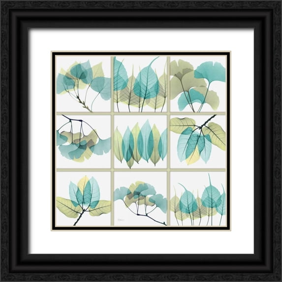Koetsier, Albert 15x15 Black Ornate Wood Framed with Double Matting Museum Art Print Titled - Citrus Leaves SC