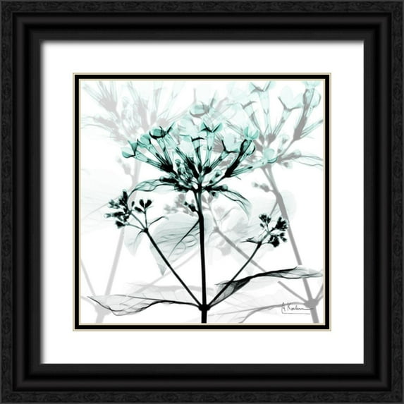 Koetsier, Albert 15x15 Black Ornate Wood Framed with Double Matting Museum Art Print Titled - Crystalized Floral