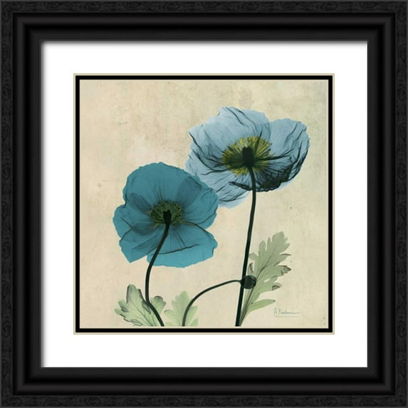 Koetsier, Albert 15x15 Black Ornate Wood Framed with Double Matting Museum Art Print Titled - Iceland Poppy