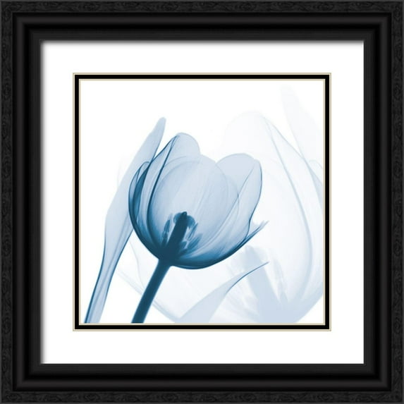 Koetsier, Albert 15x15 Black Ornate Wood Framed with Double Matting Museum Art Print Titled - Indigo Tulip