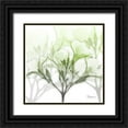 thumbnail image 1 of Koetsier, Albert 15x15 Black Ornate Wood Framed with Double Matting Museum Art Print Titled - Seasoned Oleander, 1 of 4