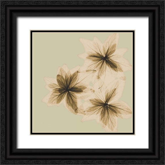 Koetsier, Albert 15x15 Black Ornate Wood Framed with Double Matting Museum Art Print Titled - Starburst