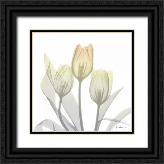 Koetsier, Albert 15x15 Black Ornate Wood Framed with Double Matting Museum Art Print Titled - Sunday Morning Tulips Two