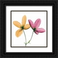 thumbnail image 1 of Koetsier, Albert 15x15 Black Ornate Wood Framed with Double Matting Museum Art Print Titled - Two Clematis, 1 of 4