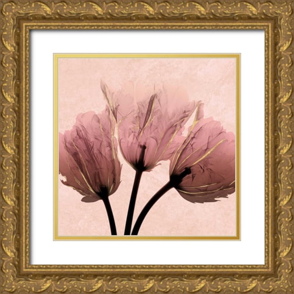 Koetsier, Albert 15x15 Gold Ornate Wood Framed with Double Matting Museum Art Print Titled - Alizarin Marble Splendor 2