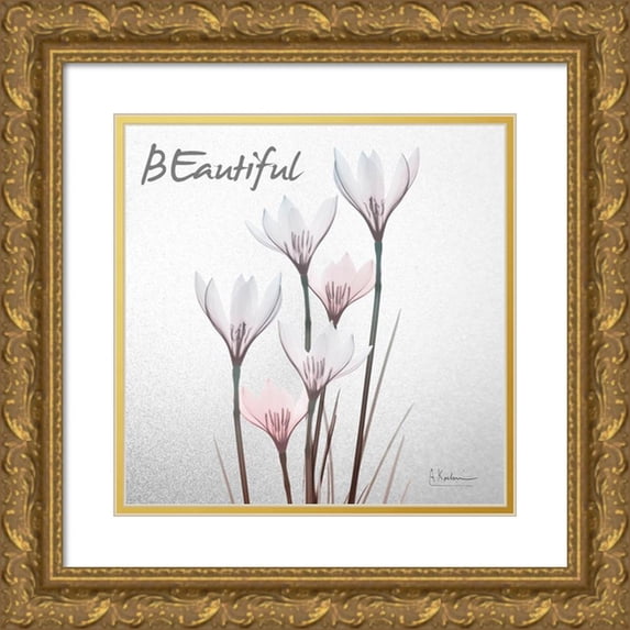Koetsier, Albert 15x15 Gold Ornate Wood Framed with Double Matting Museum Art Print Titled - Beautiful White Rain Lily 1