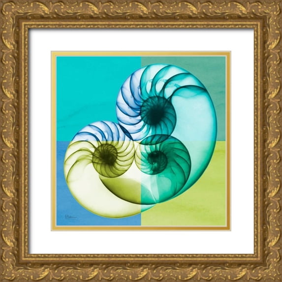 Koetsier, Albert 15x15 Gold Ornate Wood Framed with Double Matting Museum Art Print Titled - Blue Green Shell 2