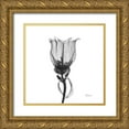 thumbnail image 1 of Koetsier, Albert 15x15 Gold Ornate Wood Framed with Double Matting Museum Art Print Titled - Canterbury Bell, 1 of 4