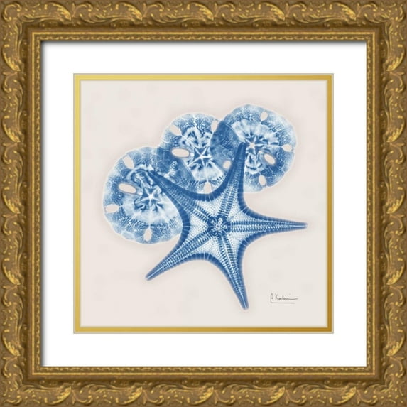 Koetsier, Albert 15x15 Gold Ornate Wood Framed with Double Matting Museum Art Print Titled - Cerulean Starfish and Sand Dollar
