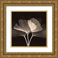 thumbnail image 1 of Koetsier, Albert 15x15 Gold Ornate Wood Framed with Double Matting Museum Art Print Titled - Cocoa Ginko 2, 1 of 4