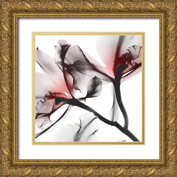 Koetsier, Albert 15x15 Gold Ornate Wood Framed with Double Matting Museum Art Print Titled - Coral Luster 1