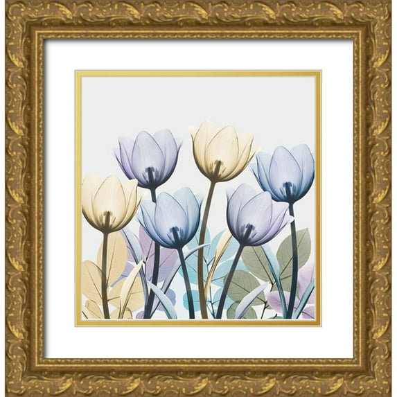 Koetsier, Albert 15x15 Gold Ornate Wood Framed with Double Matting Museum Art Print Titled - Tulip Collage 1