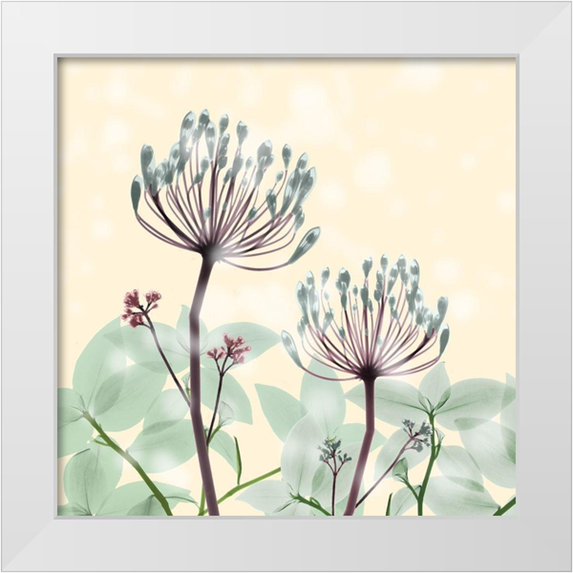 Koetsier, Albert 15x15 White Modern Wood Framed Museum Art Print Titled - Desert Dawn