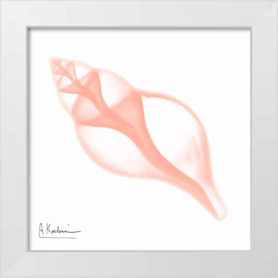 Koetsier, Albert 15x15 White Modern Wood Framed Museum Art Print Titled - Dry Shell Peach
