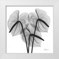 thumbnail image 1 of Koetsier, Albert 15x15 White Modern Wood Framed Museum Art Print Titled - Flamingo 2, 1 of 4