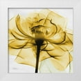 thumbnail image 1 of Koetsier, Albert 15x15 White Modern Wood Framed Museum Art Print Titled - Golden Rose, 1 of 4