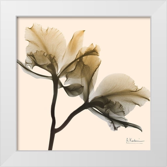 Koetsier, Albert 15x15 White Modern Wood Framed Museum Art Print Titled - Neutral Twins 1