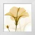 thumbnail image 1 of Koetsier, Albert 15x15 White Modern Wood Framed Museum Art Print Titled - Orange Hibiscus Wave, 1 of 4