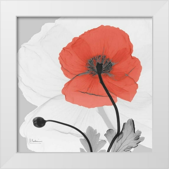 Koetsier, Albert 15x15 White Modern Wood Framed Museum Art Print Titled - Poppy Princess